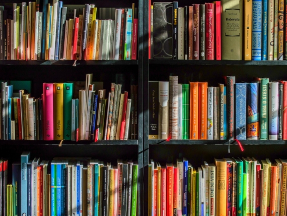 books in black wooden book shelf